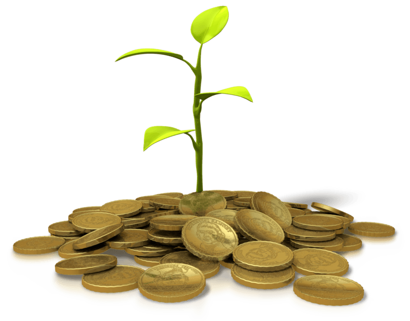 coins_investing_plant_800_clr_8756