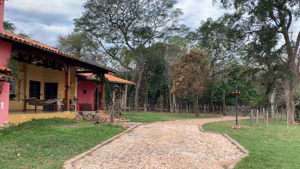Natur in Paraguay