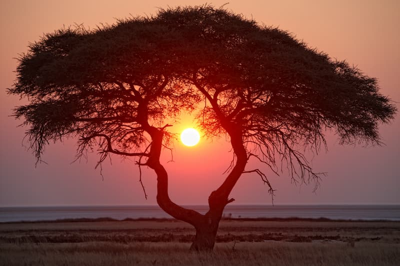 namibia-sunset-Web